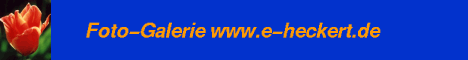 Fotoseite von Erwin Heckert